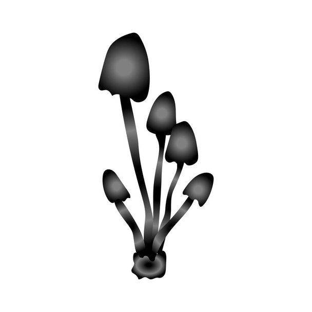 flor negra sobre un fondo blanco
 - Vector, imagen
