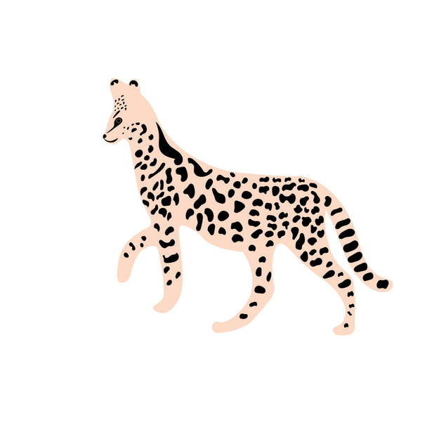 Leopard or cheetah exotic animal - Vector, Image