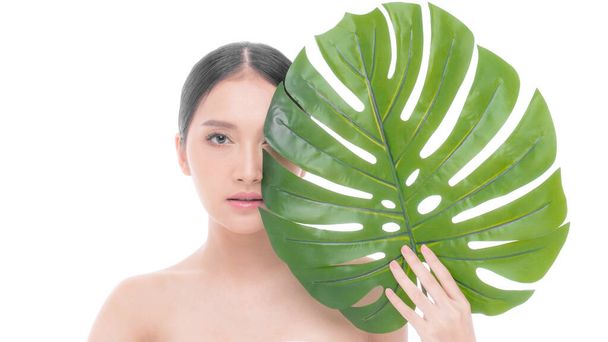 Temiz tenli, taze tenli, beyaz arka planda yeşil tropikal yaprak tutan güzel bir Asyalı kadın Asyalı kadının yüz bakımı, kozmetoloji, güzellik ve spa konsepti.  - Fotoğraf, Görsel
