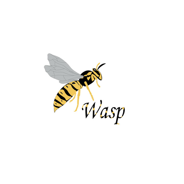   stylized banner with wasp, vector illustration - Vecteur, image