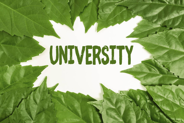 Inspiráló szöveg az egyetemről. Üzleti ötlet egy oktatási intézmény, amelynek célja a természetvédelmi ötletek, új környezetvédelmi megőrzési tervek tanítása és vizsgálata - Fotó, kép