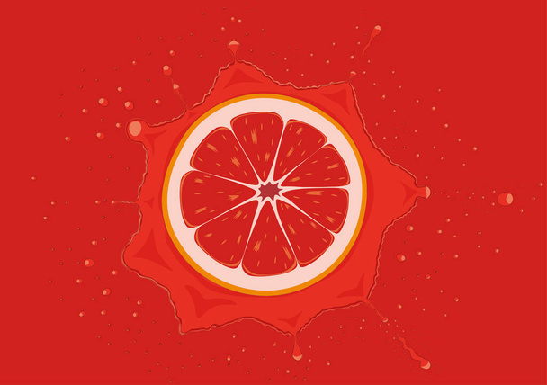 Grapefruit slice falls in juice splash vector illustration - Vector, Image