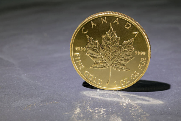 Maple leaf gold coin stands on gray background - Photo, Image