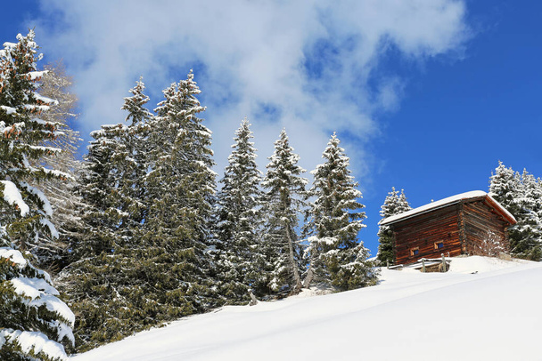 Cabaña de madera en una ladera nevada - Foto, imagen