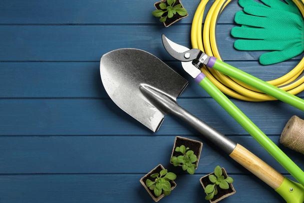 Flat lay composition with gardening tools and green plants on blue wooden background, space for text - 写真・画像