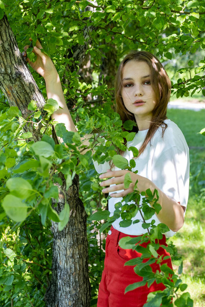mooi jong meisje in de tuin tussen groen gebladerte - Foto, afbeelding