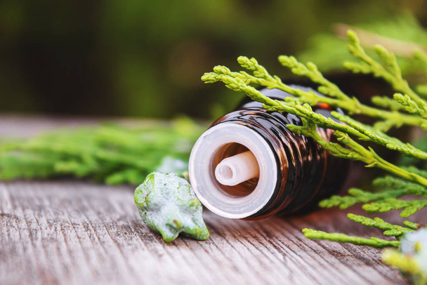 Juniper essential oil in a small bottle. Selective focus. nature. - Photo, Image