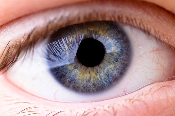 Primo piano di un occhio con grandi dettagli mostrati nella cornea
. - Foto, immagini