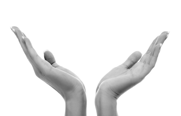 Naisten kädet valkoisella taustalla - Valokuva, kuva