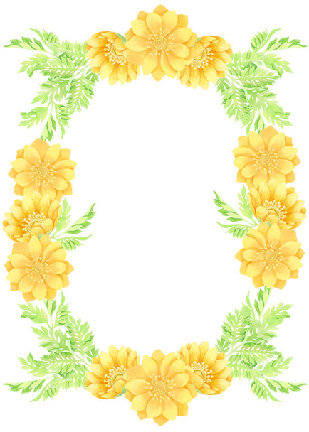Watercolor style, flower decoration material of Adonis ramosa (vertical position) - Photo, Image
