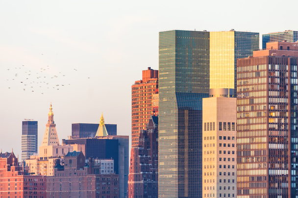Skyscrapers in New York - Foto, Imagen