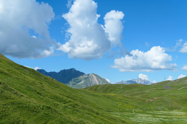 Pastos verdes a altitud en verano. Picos rocosos de montaña en el fondo. - Foto, Imagen
