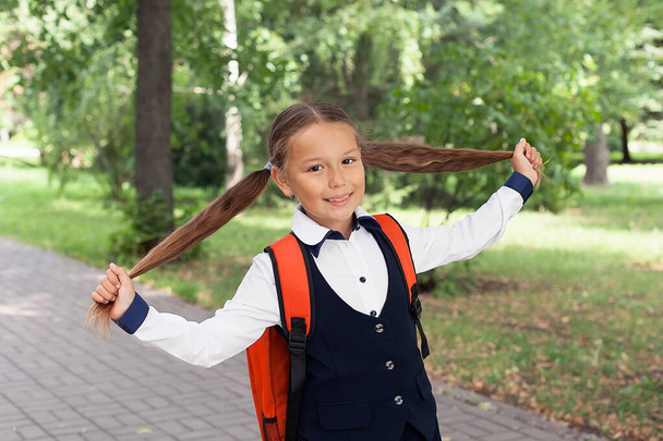 A beautiful little schoolgirl with a pink backpack walks in the park, the concept of returning to school. School uniform. - Photo, Image