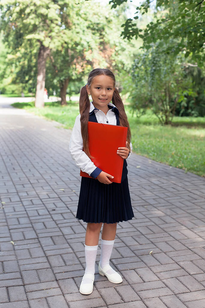 A beautiful little schoolgirl with a pink backpack walks in the park, the concept of returning to school. School uniform. - Fotografie, Obrázek