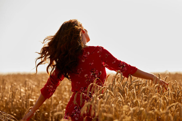 een mooie vrouw in een tarweveld op een zonnige zomerdag - Foto, afbeelding