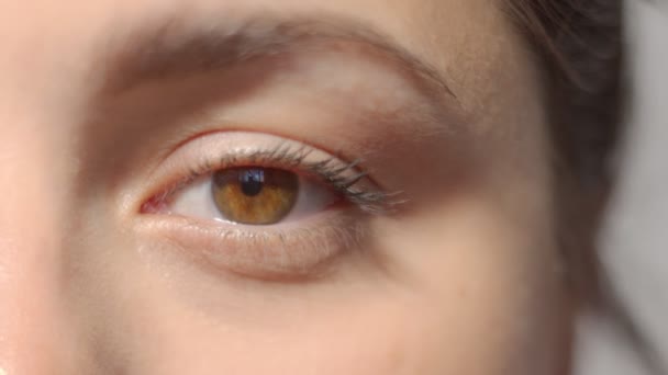 A fehér lány barna szeme kinyílik és becsukja a gyönyörű szemét. Makró közeli szemvillanás. Kiváló minőségű videó.  - Felvétel, videó