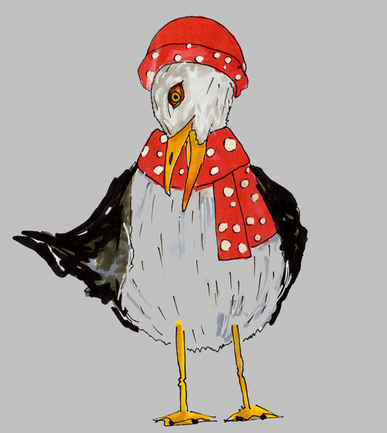 uma gaivota em um chapéu de panamá vermelho - Foto, Imagem