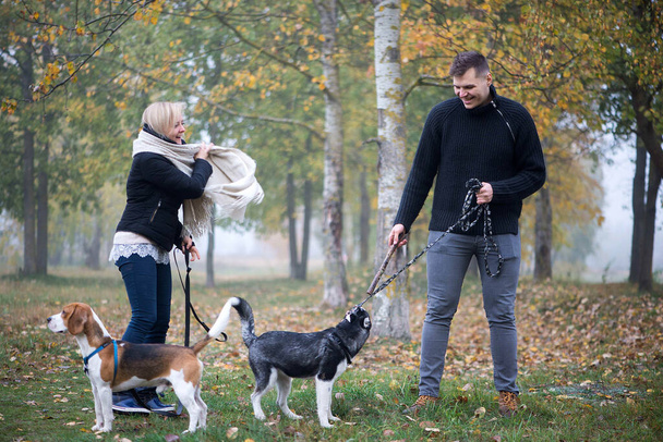 dueños de mascotas con perros husky y beagle siberianos tienen un buen tiempo en el parque de la ciudad en una mañana de otoño - Foto, imagen