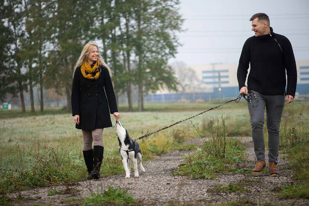 Joven pareja familiar con perro husky siberiano paseando en el parque de otoño - Foto, imagen