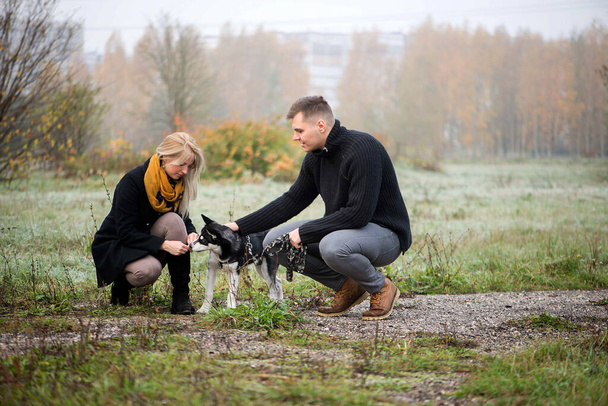 Νεαρό οικογενειακό ζευγάρι με σιβηρικό husky σκυλί με τα πόδια στο πάρκο φθινόπωρο - Φωτογραφία, εικόνα