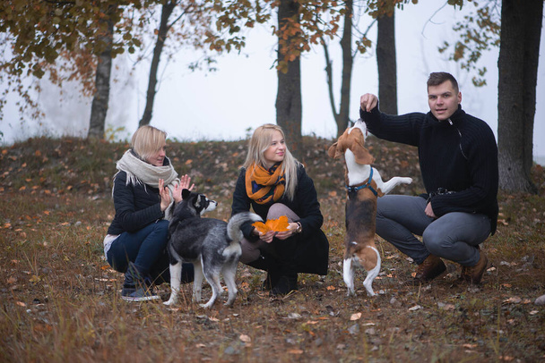 Sibirya köpekli evcil hayvan sahipleri bir sonbahar sabahı şehir parkında iyi vakit geçirirler. - Fotoğraf, Görsel