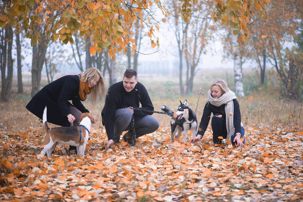 les propriétaires d'animaux de compagnie avec husky sibérien et chiens beagle passer un bon moment dans le parc de la ville un matin d'automne - Photo, image