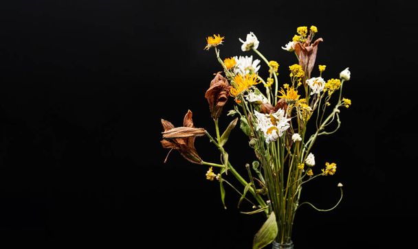 Minimalistic, stylish still life of dried flowers in glass vase.  Atmospheric autumn composition with bouquet of beautiful dried flowers, copy space. - Foto, imagen