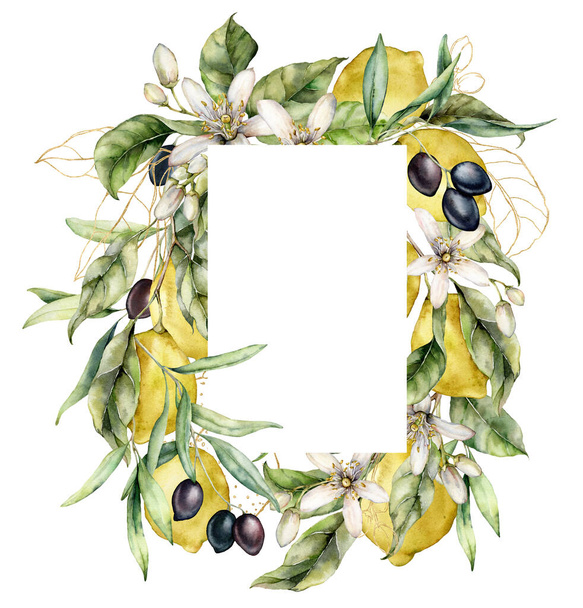 熟したレモン、黒オリーブ、金の葉と線形の花の水彩フレーム。手は白い背景に孤立した果実の熱帯の境界線を描いた。デザイン、印刷または背景のための食品イラスト. - 写真・画像