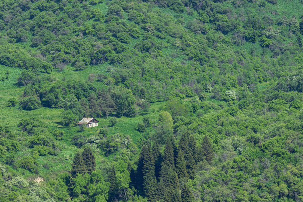 Вид на старый дом на склоне в горах. В лесной зоне - Фото, изображение