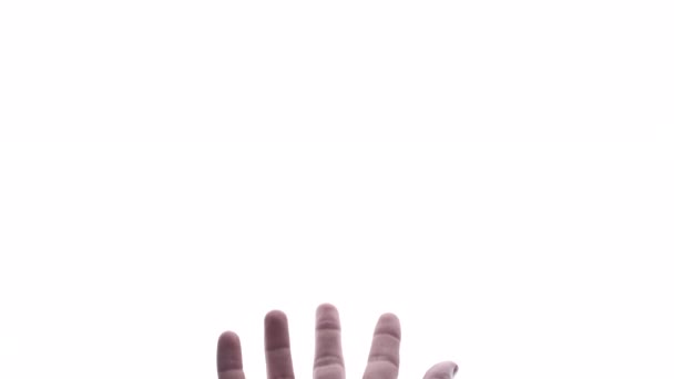 Parlak beyaz arkaplan ile el hareketi yapan kişi - Video, Çekim