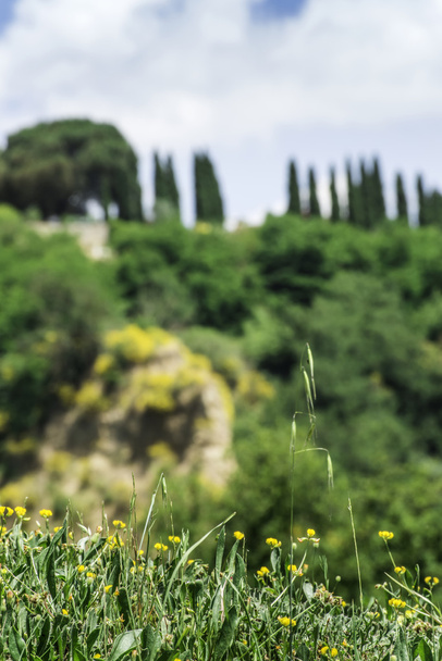Tuscany landscape - Foto, afbeelding
