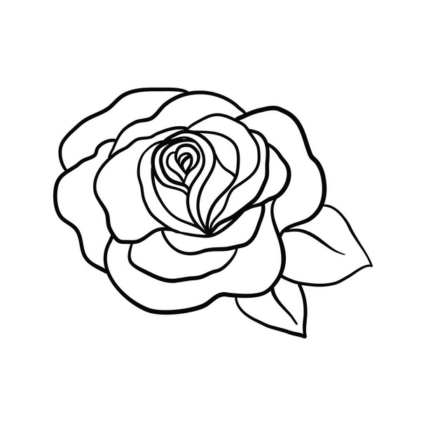 Rose sketch. Black outline on white background. Vector illustration. - Vettoriali, immagini