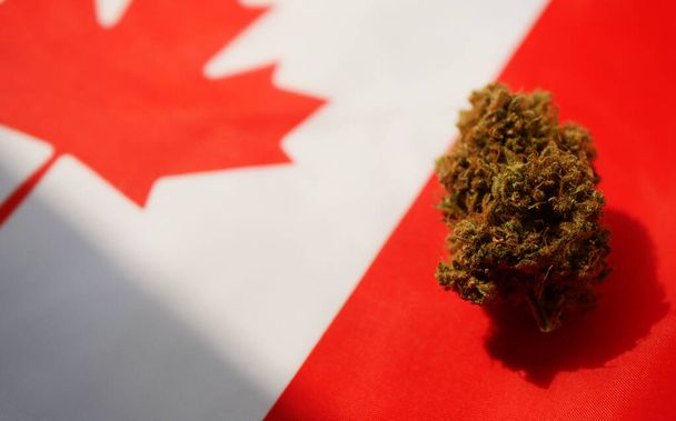 Cannabis bud lay on Canadian flag. Marijuana legalization concept. - Foto, afbeelding