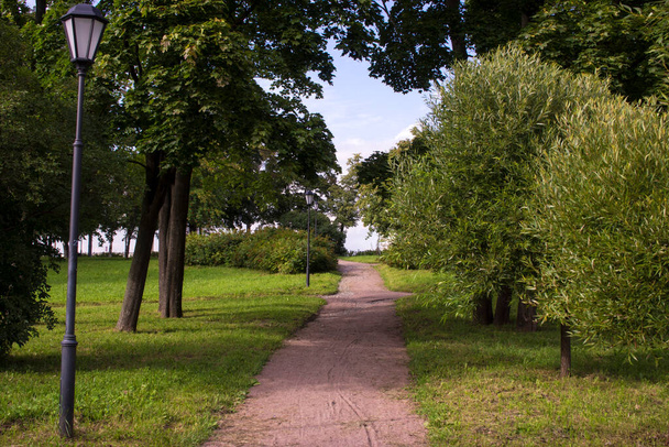 湾曲した木の間の砂の道。木製のベンチ、美しい柳の木の路地と砂の道と夏の間の公共公園 - 写真・画像