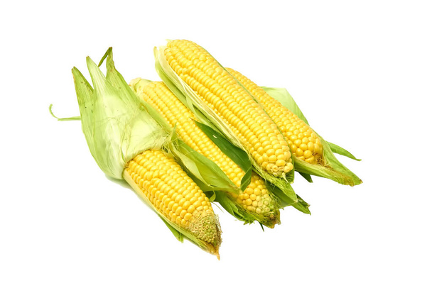 Young appetizing corn on the cob and peeled on a white background. - Photo, Image