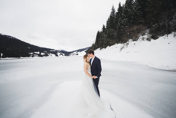 Just married couple kissing, mountains landscape in snow on the background - Fotó, kép