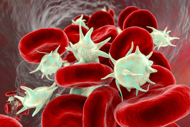 Geactiveerde bloedplaatjes in bloedstroom en rode bloedcellen, 3D illustratie - Foto, afbeelding
