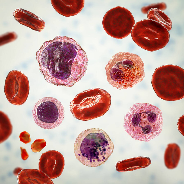 Mancha de sangre periférica, ilustración 3D que muestra diferentes tipos de células sanguíneas, eritrocitos, neutrófilos, monocitos, basófilos, eosinófilos, linfocitos, plaquetas - Foto, imagen