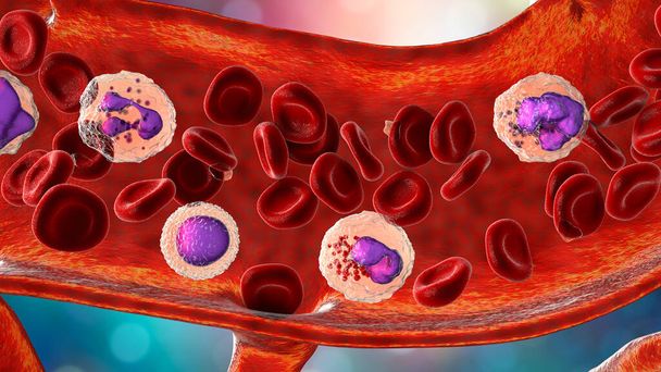 Flujo sanguíneo. Ilustración 3D que muestra diferentes tipos de células sanguíneas, eritrocitos, neutrófilos, linfocitos, eosinófilos, basófilos y plaquetas - Foto, imagen