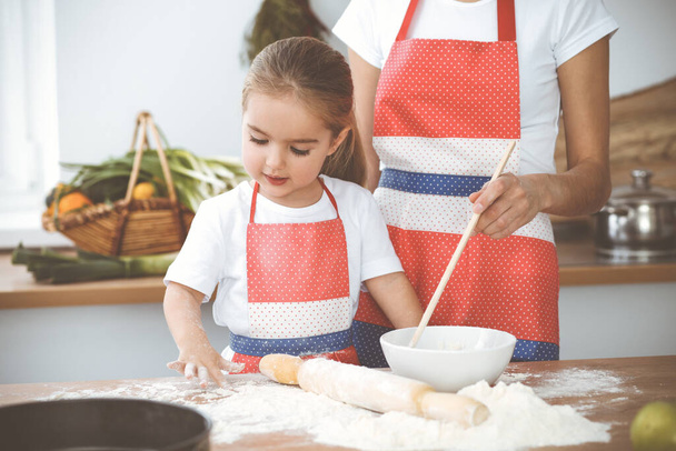 Happy woman and her daughter are kneading the dough and baking cookies for a delicious family feasting. Christmas, New year, Thanksgiving, Anniversary, Mothers Day. Healthy meal cooking concept. - Zdjęcie, obraz