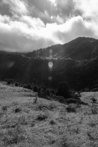 ensolarado manhã rural com floresta andina gama de montanhas no fundo. Blck e branco foto - Foto, Imagem