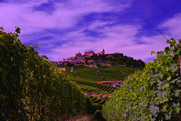 vineyards and the town of morra, province of cuneo in piedmont italy - Photo, Image