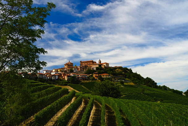 vineyards and the town of morra, province of cuneo in piedmont italy - Photo, Image