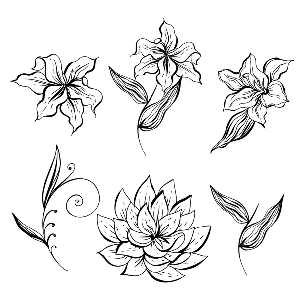A set of black and white flowers for decoration. Vector. - Vektor, Bild