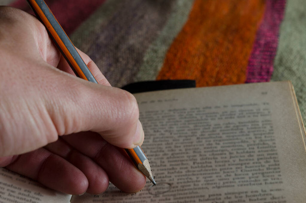 κάνοντας σχόλια σε ένα βιβλίο ανάγνωσης με ένα μαύρο μολύβι στο κρεβάτι με το χρωματιστό χαλί - Φωτογραφία, εικόνα