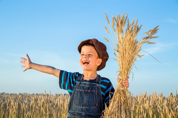 Boy on wheat field - Foto, imagen