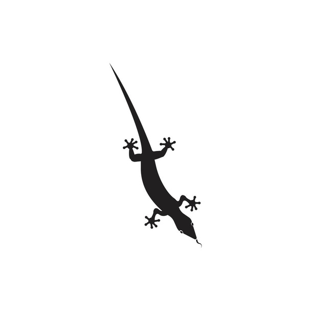 Šablona vektorového loga a symbolů ještěrky - Vektor - Vektor, obrázek