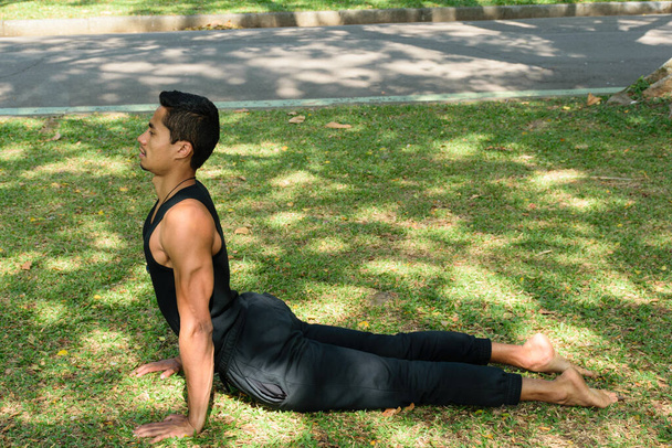 Brazilian young man, in an upward-facing dog yoga position, in a public park on a sunny day. - Photo, Image