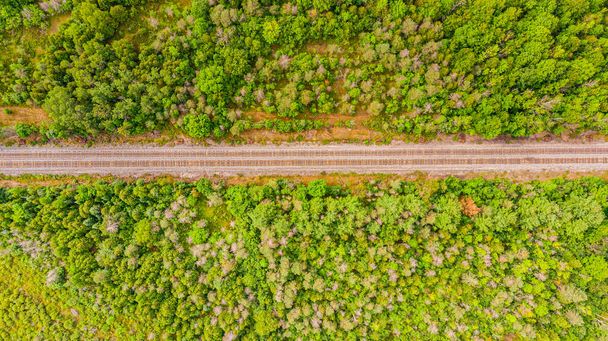 Aerial view of a railroad track. The empty tracks between the forest. Birds eyes view direct above the Railroad. Captured from high altitude. Drone photography near by Merrickville, Ontario, Canada  - Фото, изображение