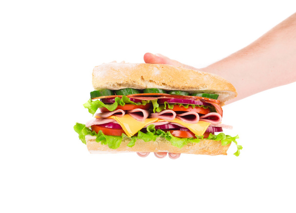 Hand holding sandwich. - Фото, изображение
